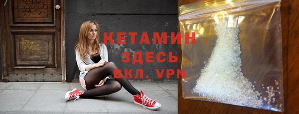 прущие грибы Надым