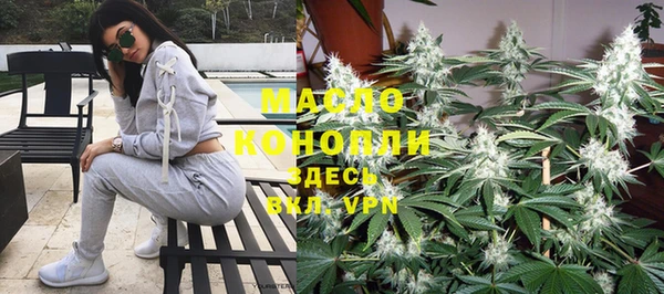 прущие грибы Надым