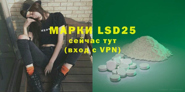 прущие грибы Надым