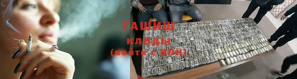 прущие грибы Надым