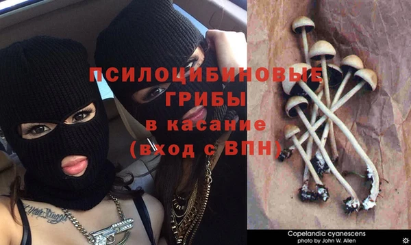 гашишное масло Наволоки
