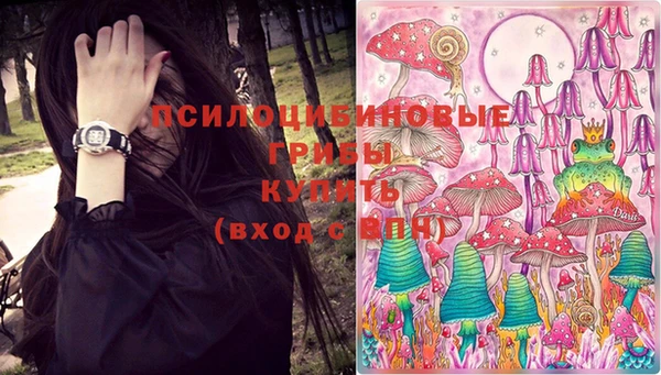 ПСИЛОЦИБИНОВЫЕ ГРИБЫ Нефтекумск