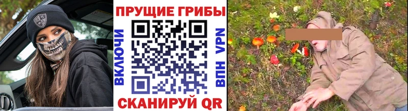 закладка  mega маркетплейс  Псилоцибиновые грибы MAGIC MUSHROOMS  Руза 